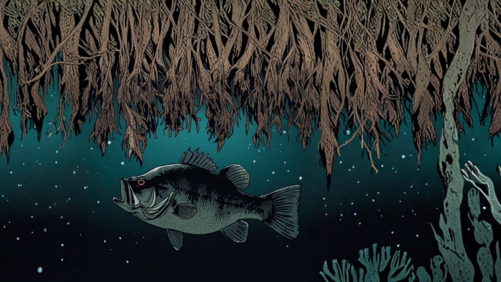 冬のブラックバスが身を寄せやすい倒木とオーバーハングのカバーエリア