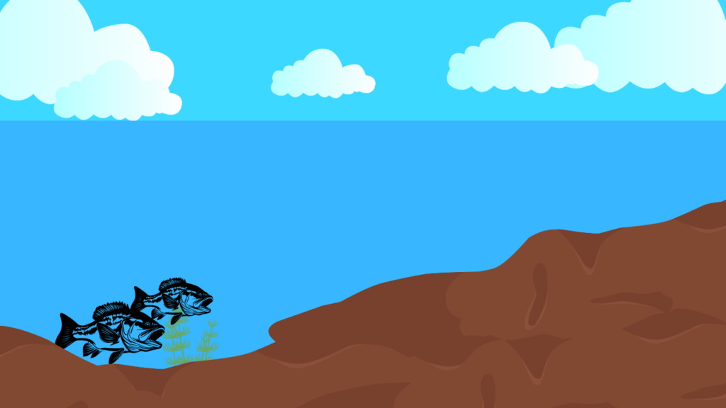 冬の琵琶湖でディープに定位するブラックバスと寒いフィールド風景