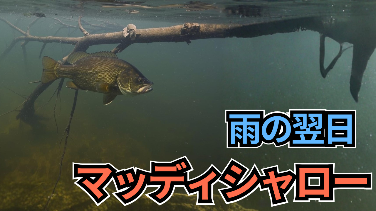 ブラックバスが太い木の枝の下で泳いでいる様子